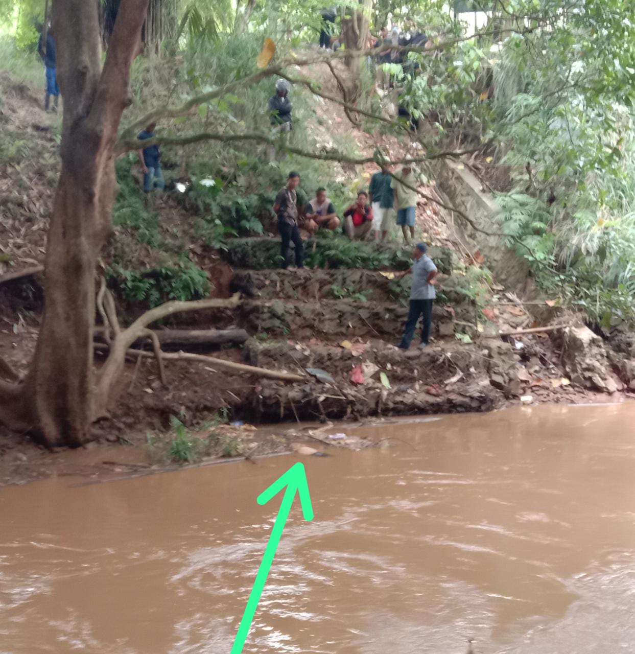 Heboh Mayat Wanita Penuh Luka Sobek Mengambang Di Kali Angke Serpong