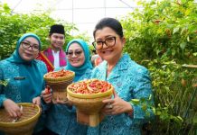 Green Z Indonesia Dukung Ketahanan Pangan Melalui Panen Raya di Cakung
