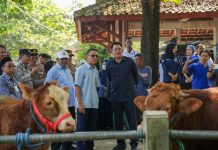 Wabup : Pastikan Jelang Idul Adha Ketersediaan Hewan Kurban Aman